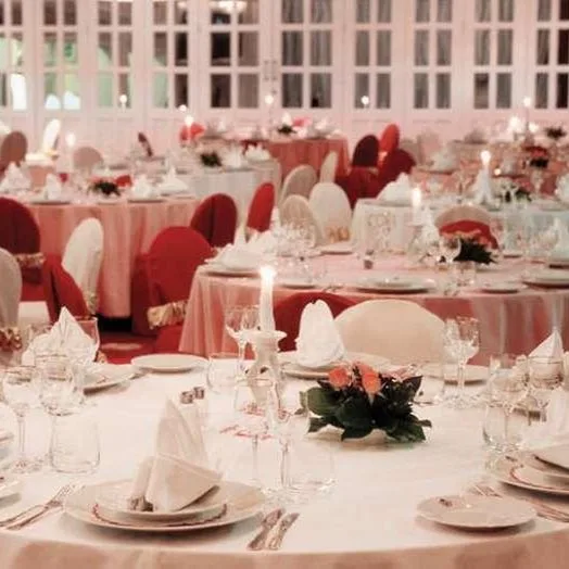 Ambassador Zlata Husa - zdjęcie 4