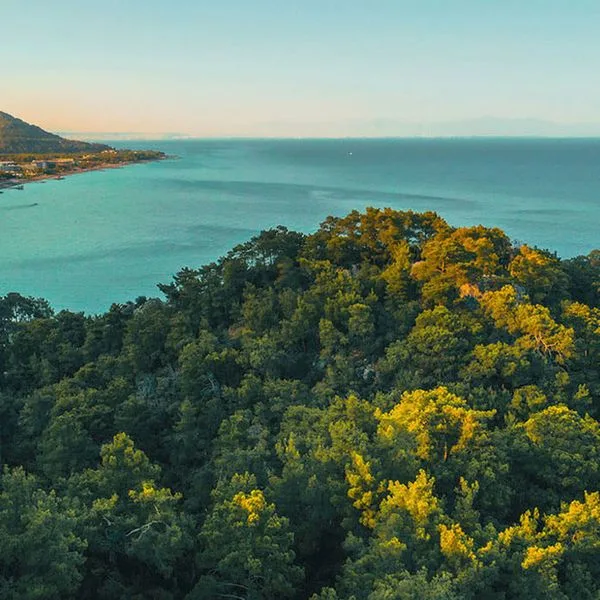 NG Phaselis Bay - zdjęcie 4