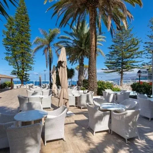 Best Semiramis - zdjęcie 2