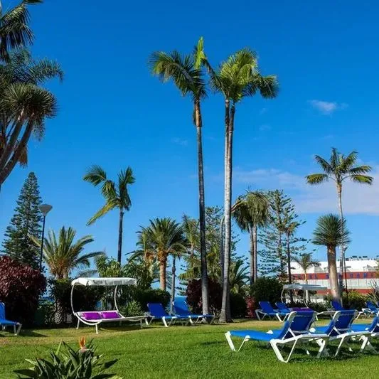 Best Semiramis - zdjęcie 4