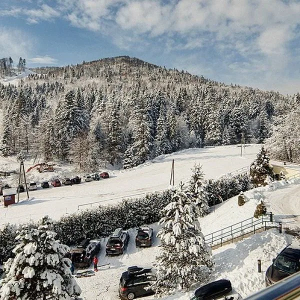 Pegaz (Krynica Zdrój) - zdjęcie 4