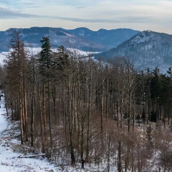 Piotr Spa & Wellness - zdjęcie 2