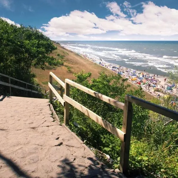 Ara (Jastrzębia Góra) - zdjęcie 4