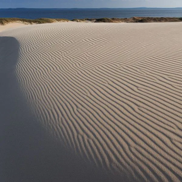 Saltic Resort & Spa - zdjęcie 4