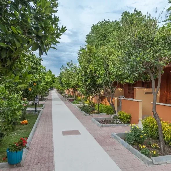 Ozlem Garden - zdjęcie 2