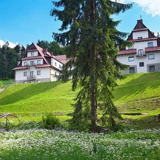 Geovita Wisła - zdjęcie 5