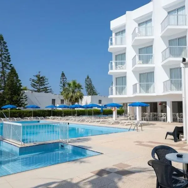 Napa Jay - zdjęcie 4