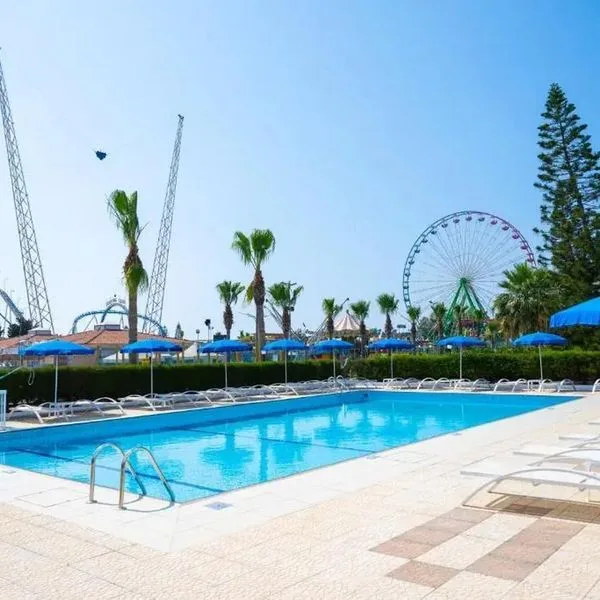 Napa Jay - zdjęcie 2