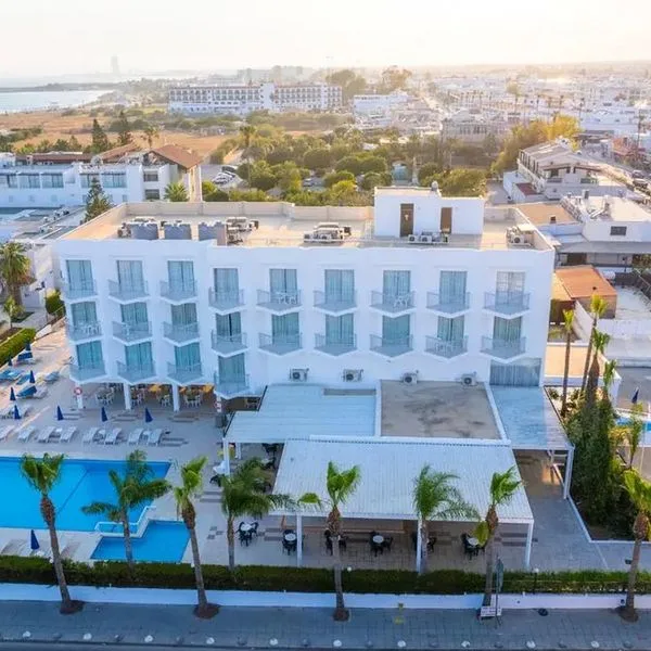 Napa Jay - zdjęcie 3