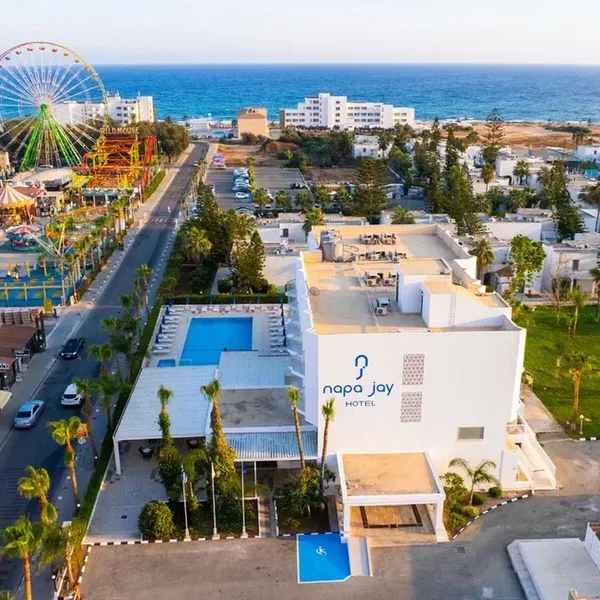 Napa Jay - zdjęcie 5