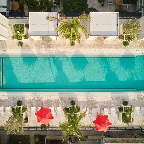 Arlo Wynwood - zdjęcie 3