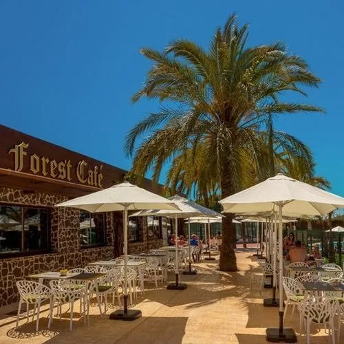 Magic Robin Hood - zdjęcie 4