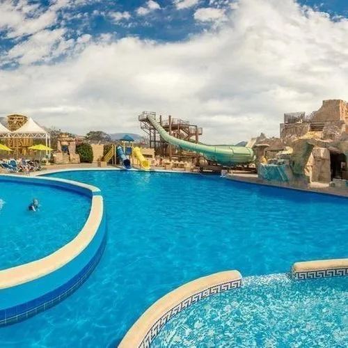 Magic Robin Hood - zdjęcie 3