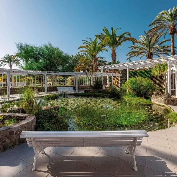 Abora Catarina (ex Ifa Catarina) - zdjęcie 2