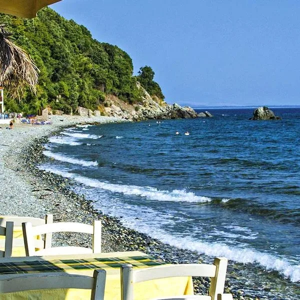 Studia Katerina - zdjęcie 3