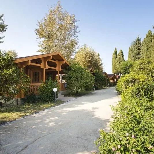 Sandys Studios & Log Villas - zdjęcie 3