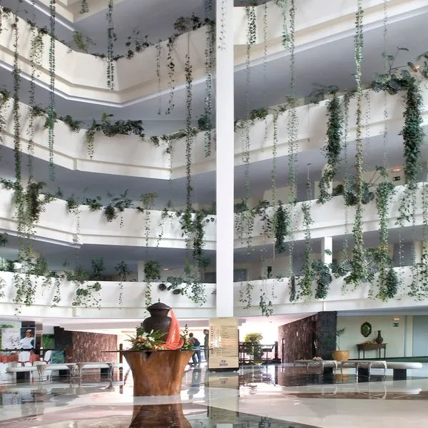 Beatriz Costa & SPA - zdjęcie 4