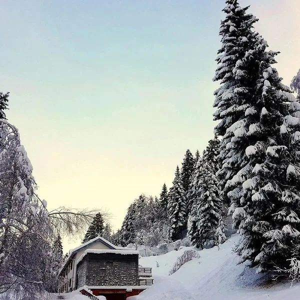 Casa Santel - zdjęcie 4