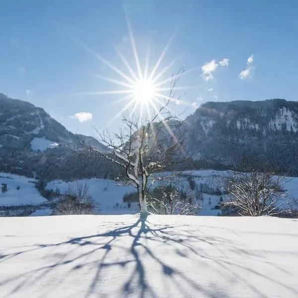 Ganzenhubhof - zdjęcie 2