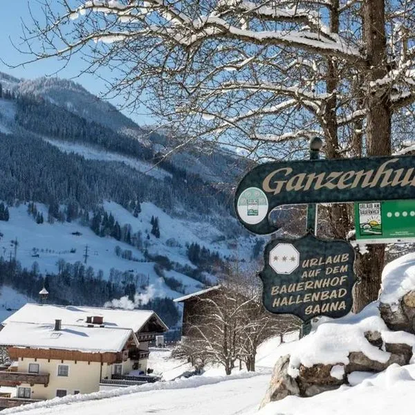 Ganzenhubhof - zdjęcie 4