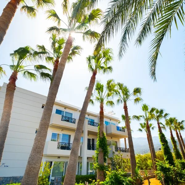 Aeolos Beach (Malia) - zdjęcie 4