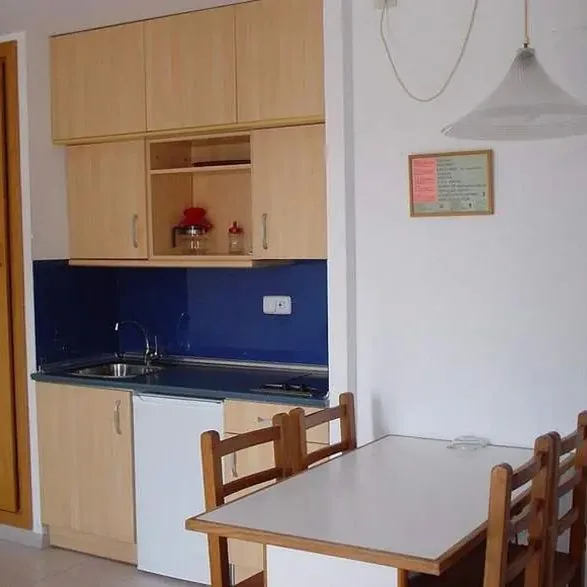 Safari (Calella) - zdjęcie 5