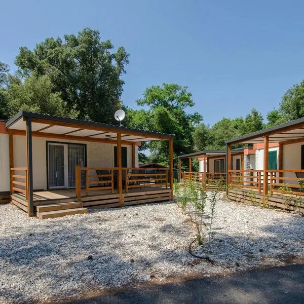 Centinera - zdjęcie 4