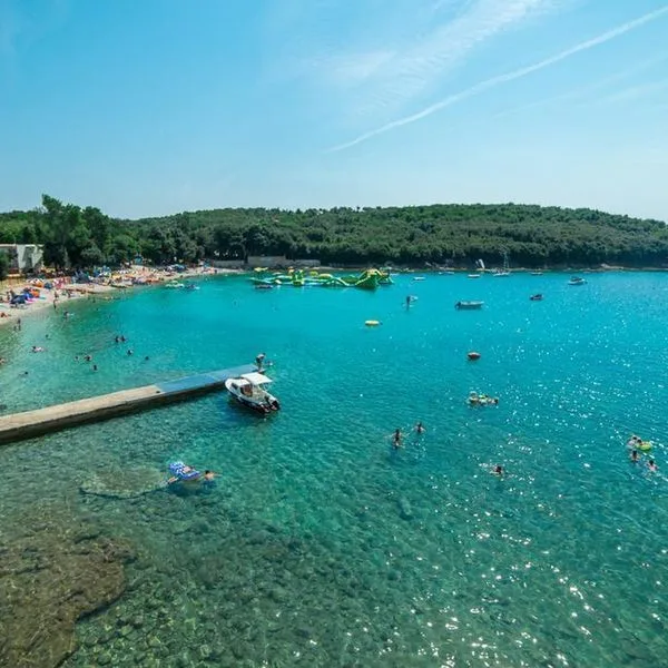 Centinera - zdjęcie 3