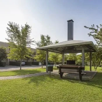 Ginepri - zdjęcie 4