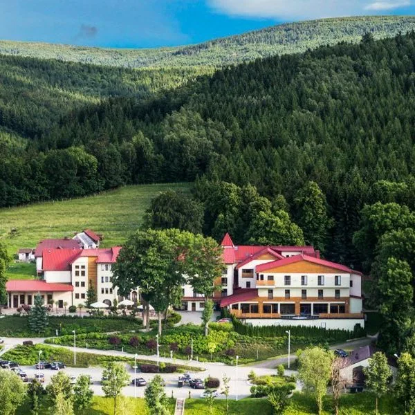 Malinowy Dwór - zdjęcie 3