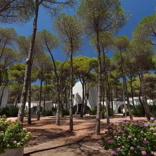 Mare Pineta - zdjęcie 5