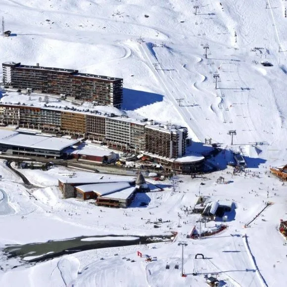 Shamrock - zdjęcie 5