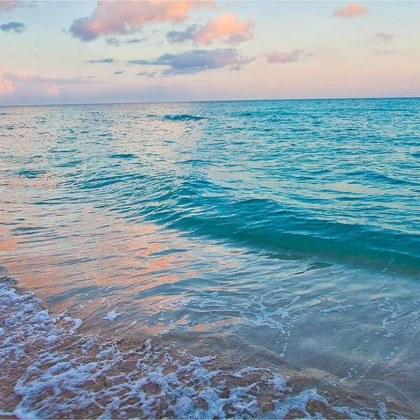 Holiday Inn Miami Beach Oceanfront - zdjęcie 2