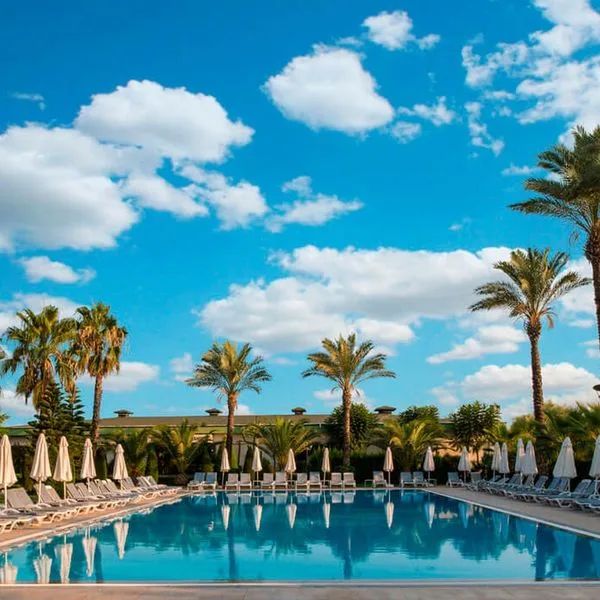 Delphin Diva - zdjęcie 3