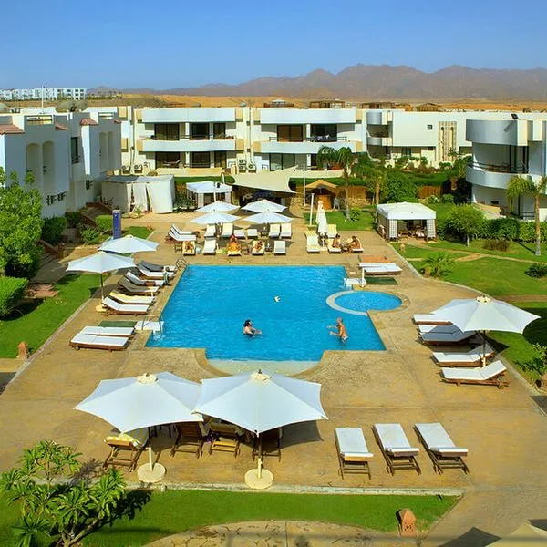 Viking Club - zdjęcie 4