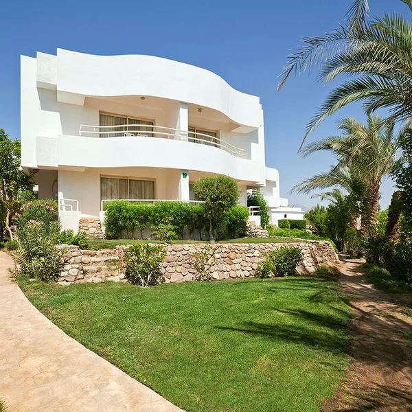 Viking Club - zdjęcie 2