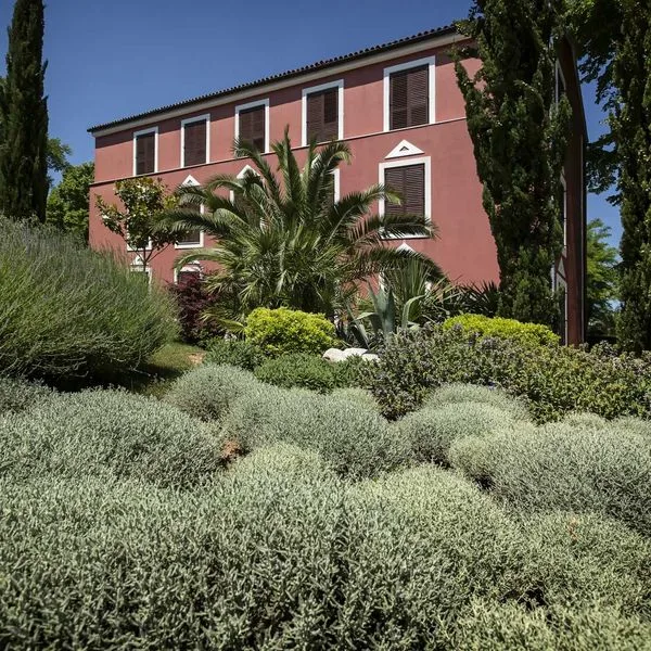 Villa Donat (Sv. Filip i Jakov) - zdjęcie 4