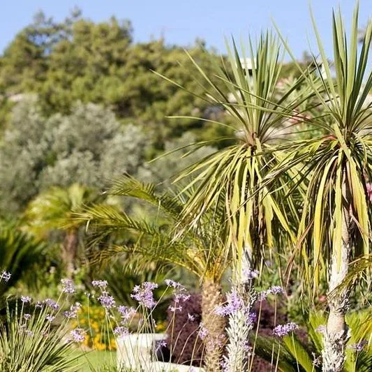 Pefkos Beach - zdjęcie 2