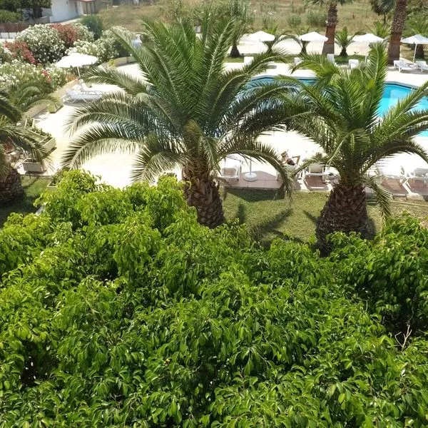 Leonidas - zdjęcie 4