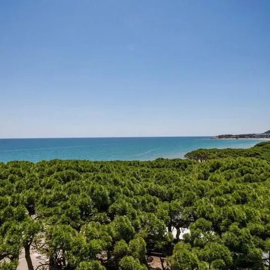 Best Terramarina - zdjęcie 5