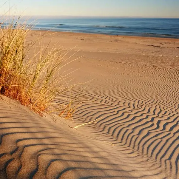 Gorzelanny Dźwirzyno - zdjęcie 3