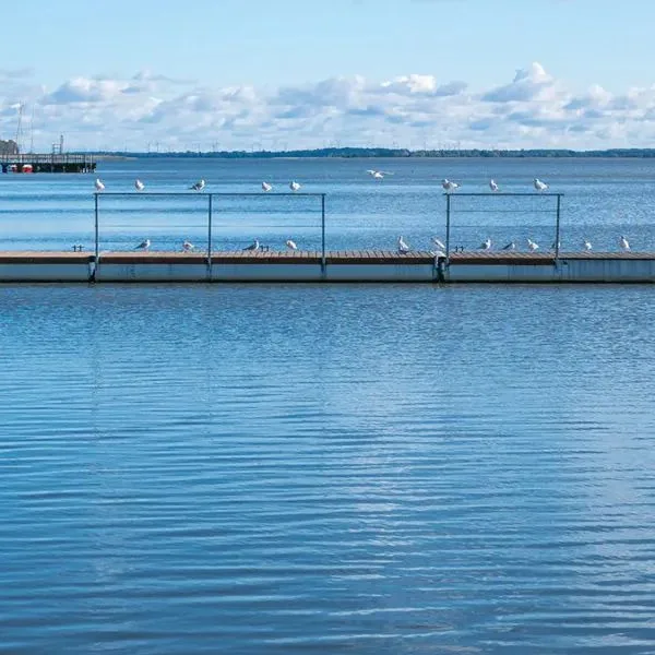 Gorzelanny Dźwirzyno - zdjęcie 5