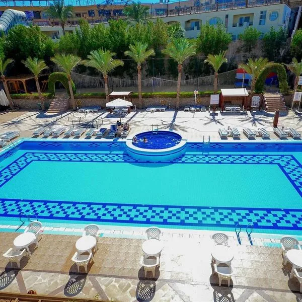 Falcon Naama Star - zdjęcie 3