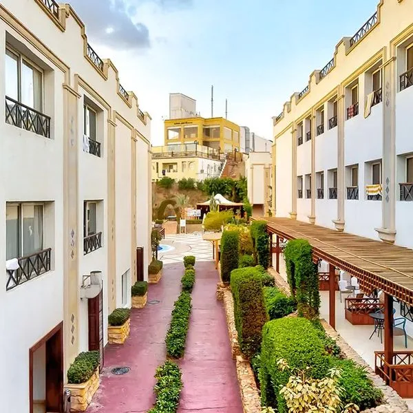 Falcon Naama Star - zdjęcie 5