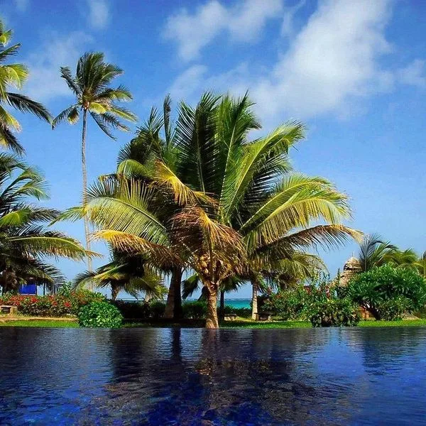 The Palms (Zanzibar) - zdjęcie 3