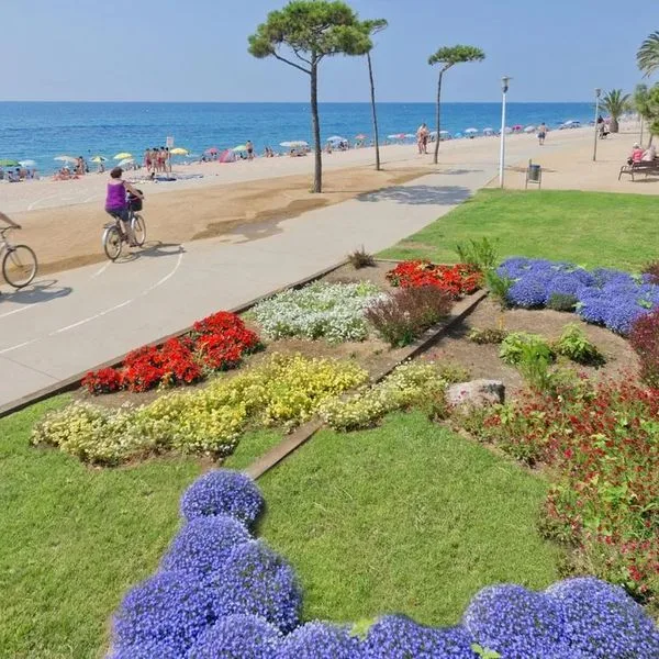 Sabiote - zdjęcie 4