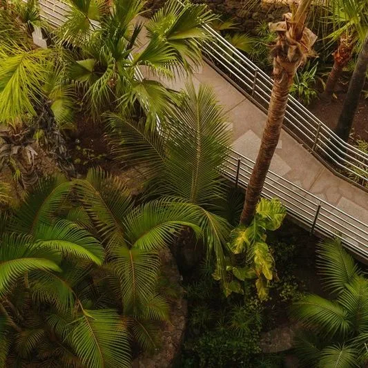 Dunas Don Gregory - zdjęcie 4