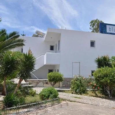 Blue Nest - zdjęcie 5