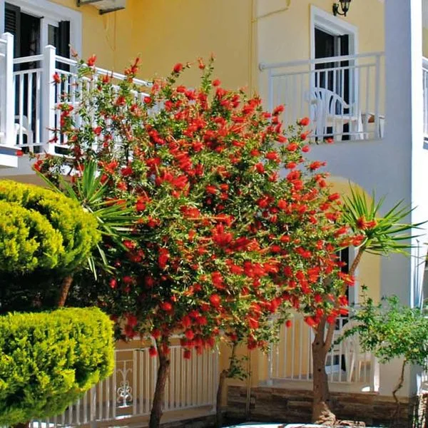 Katerina Studio - zdjęcie 5