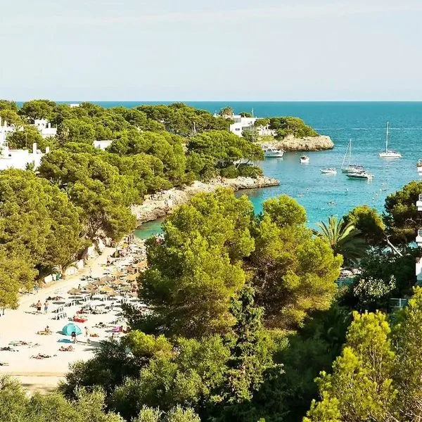 Sentido Fido Tucan (ex. SENTIDO Tucan) - zdjęcie 4